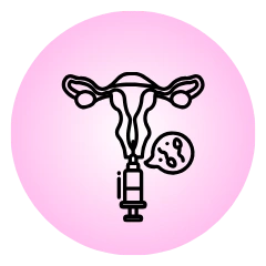 Intrauterine insemination IUI icon